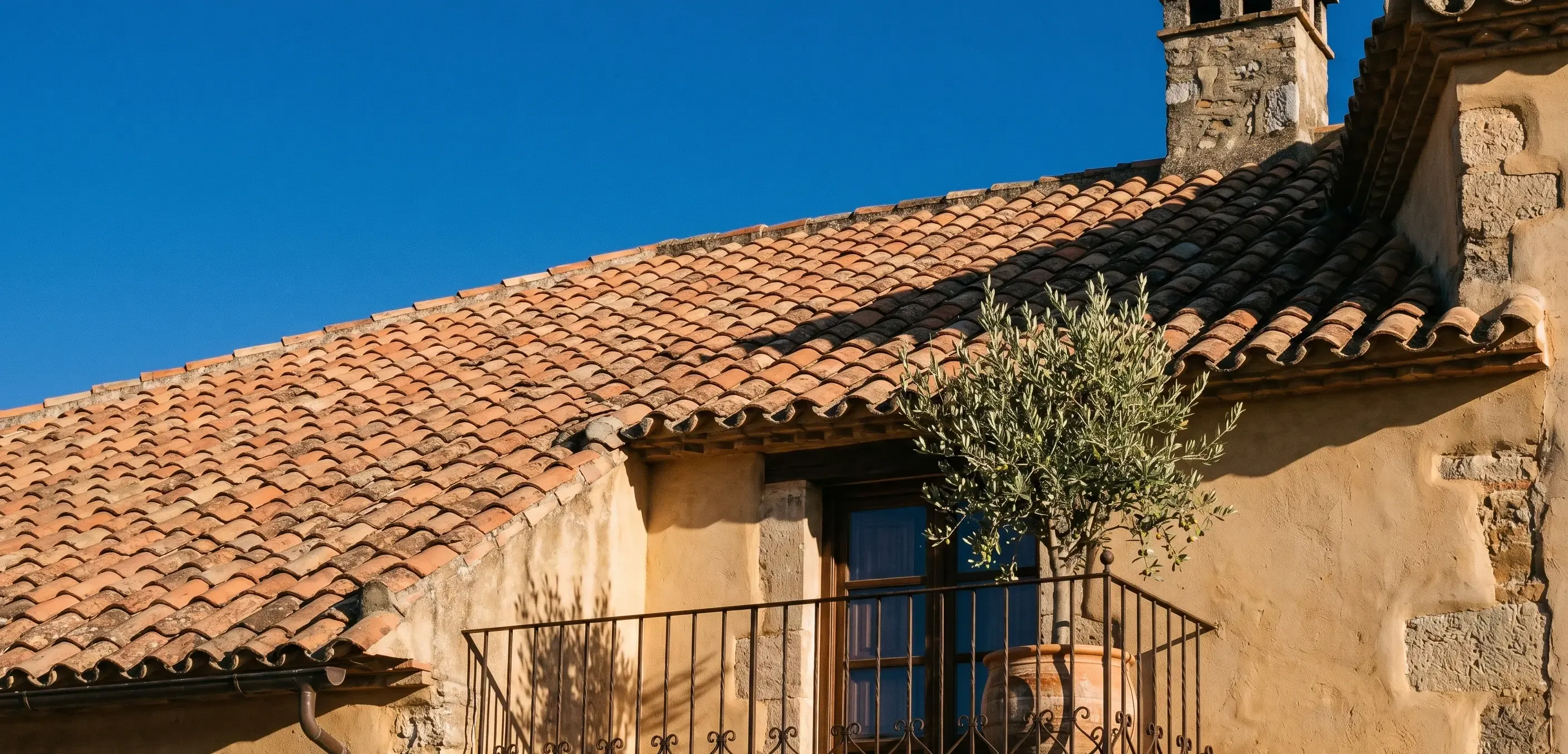 Advantages and tips for buying a rural house